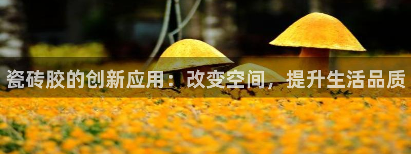 必一体育在线登陆