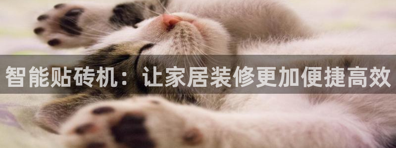 必一体育官方入口