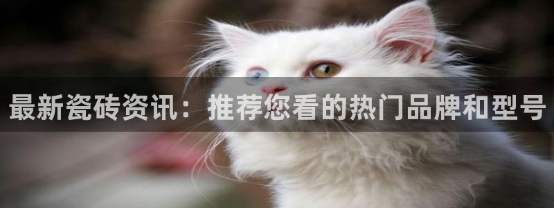 必一体育官网入口