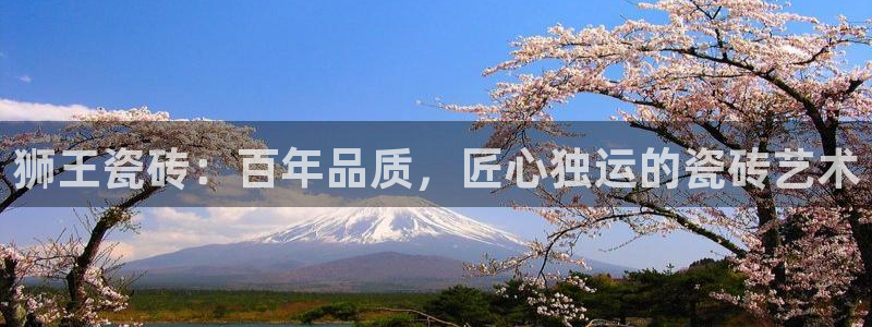 必一体育网页登录版官网