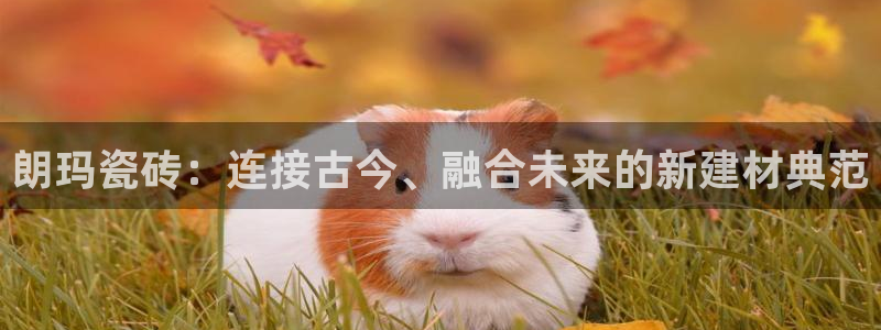 必一运动官网入口