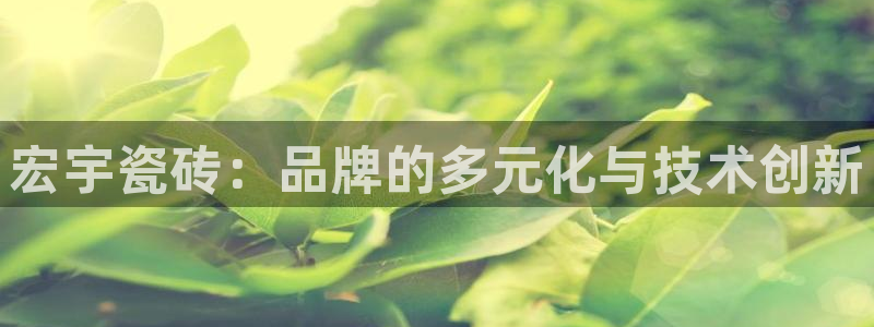 必一体育sport官网