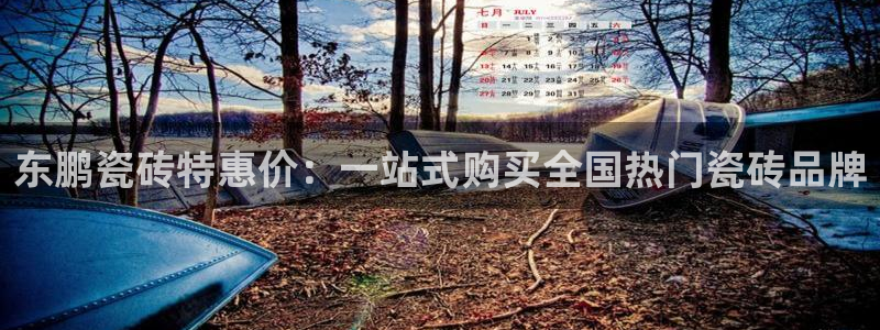 必一体育最新官网入口首页