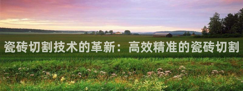 必一体育app官方正版下载