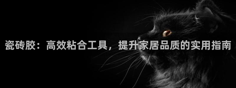 必一体育下载意思