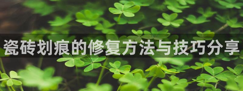 必一体育秀给网