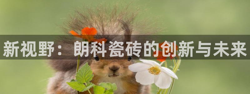 必一体育下载秀给网