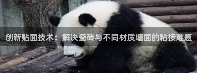 必一体育官方app下载