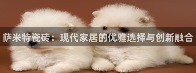 必一体育手机下载