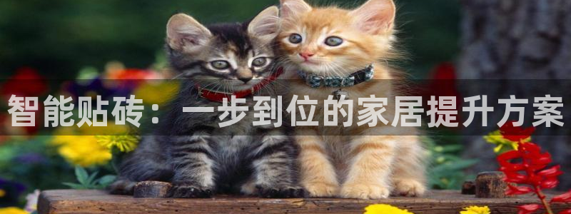 必一体育运动平台官网