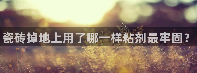 必一体育官方下载入口