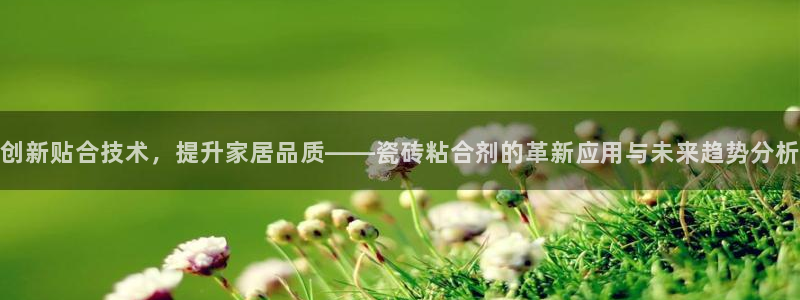 必一体育bsport下载