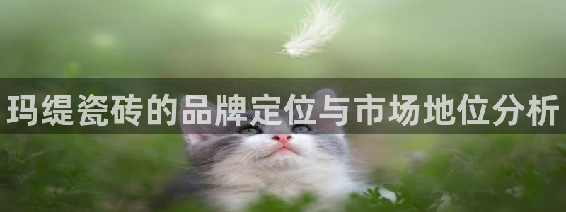 必一体育服下载最新版本更新内容