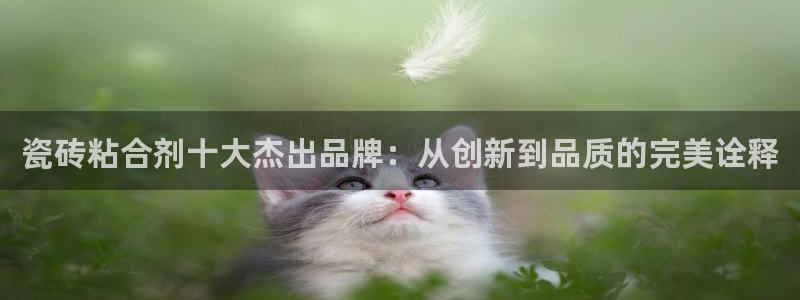 必一体育官方入口