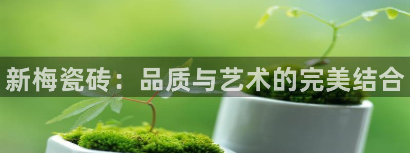 必一运动sport爱查股