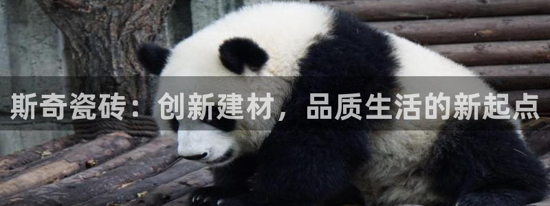 必一体育下载入口