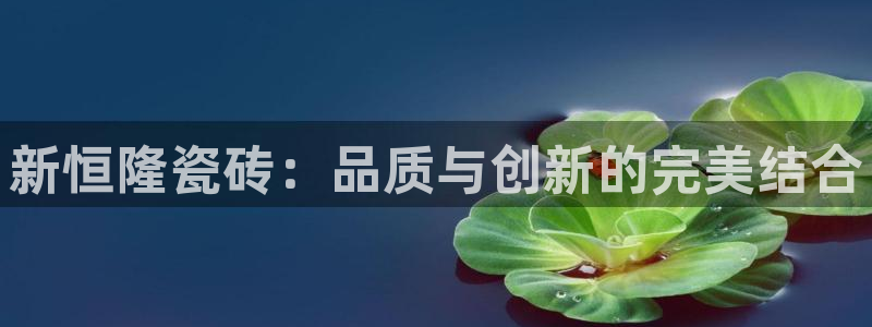 必一体育游戏玩法