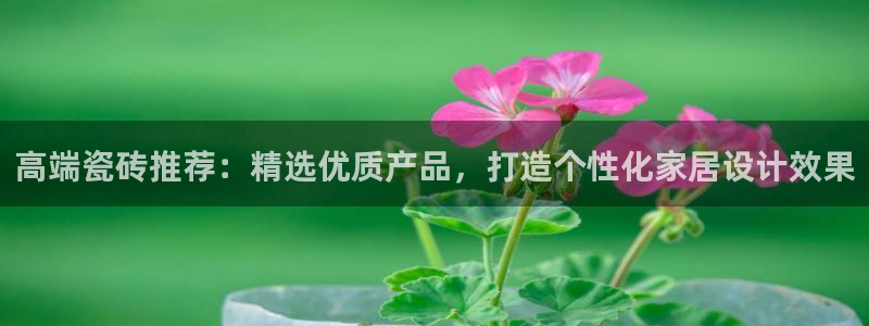 必一体育登录