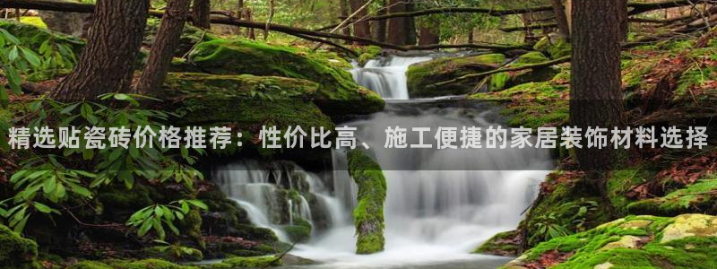 必一体育黑平台