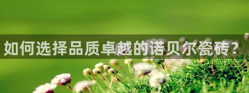 必一体育app下载最新版本