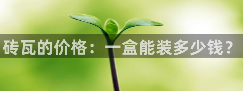 必一体育官方下载