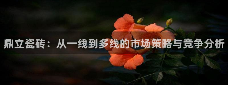 必一体育官网网址