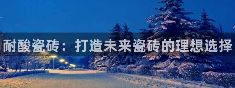 必一体育在线玩