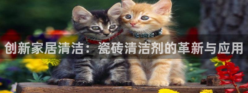 必一体育下载app