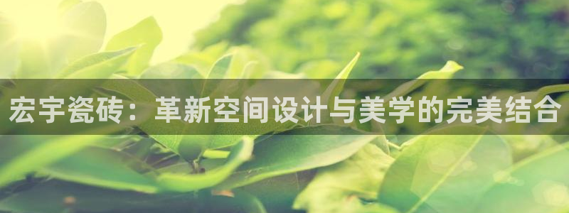 必一体育电子app
