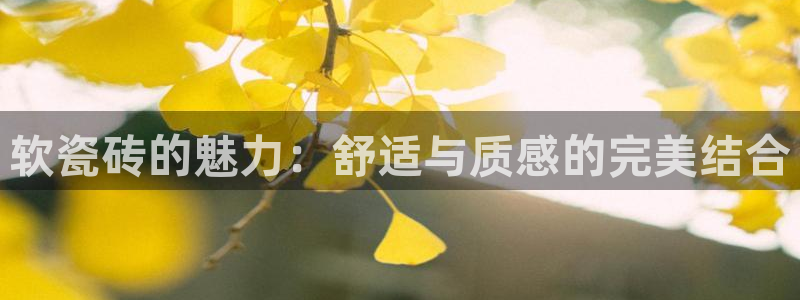 必一运动tieba.baidu.com