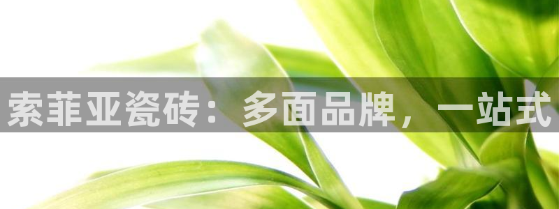 必一体育没了