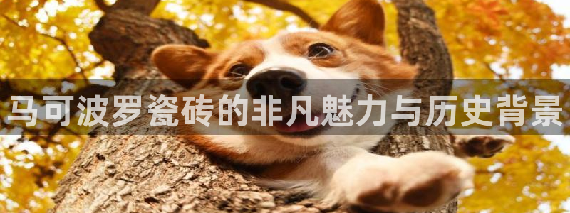 必一体育是哪里的台子