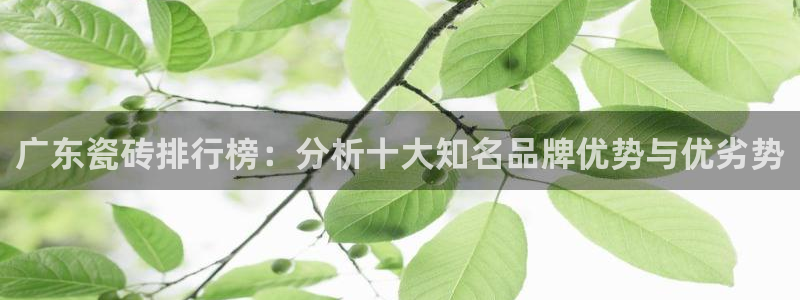 必一运动体育官网