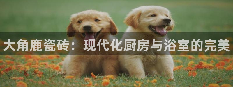 必一体育运动app
