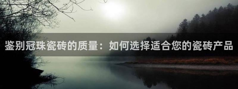 必一运动 b 体育素描版