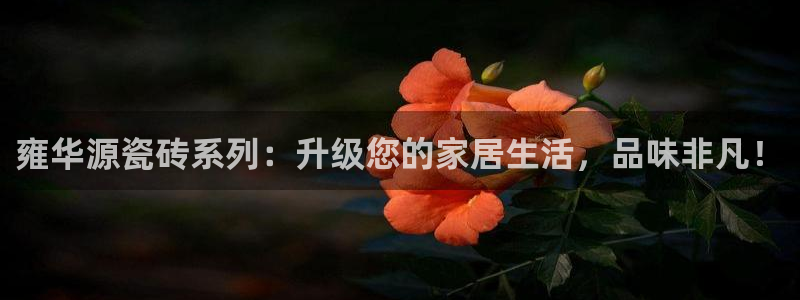 必一体育在线登录
