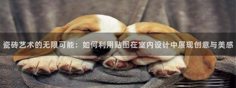 必一体育运动app下载