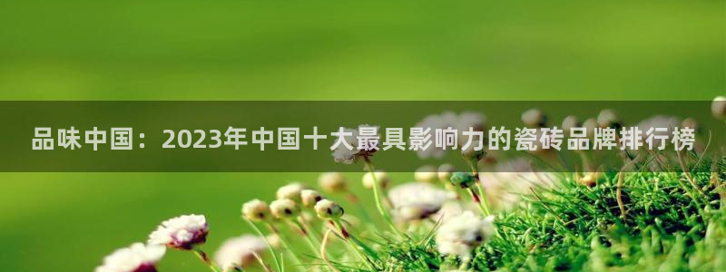 必一体育没了