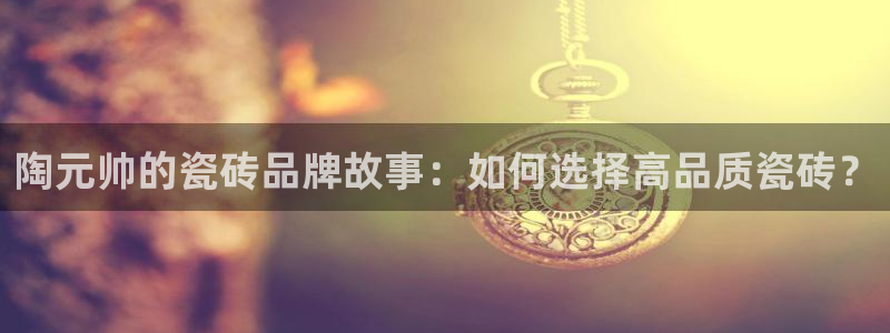 必一运动 b 体育素描版
